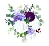 Темный фиолетовый сад гортензия поднял, белых и сирени, фиолетовая радужка, бесплатная иллюстрация Темный фиолетовый сад гортензия поднял, белых и сирени, фиолетовая радужка, бесплатная иллюстрация