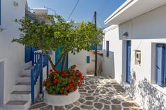 Типичные улица и цветки в городке Parakia, острове Paros, Греции стоковое изображение Типичные улица и цветки в городке Parakia, острове Paros, Греции стоковое изображение