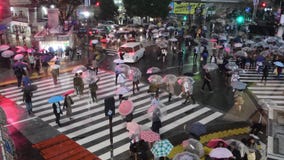 токио shibuya скрещивания токио shibuya скрещивания