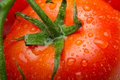 Томат, свежий, вкусный и здоровый стоковые фото Томат, свежий, вкусный и здоровый стоковые фото