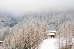 Традиционный высокогорный дом в coniferous лесе, швейцарский лыжный курорт стоковая фотография Традиционный высокогорный дом в coniferous лесе, швейцарский лыжный курорт стоковая фотография