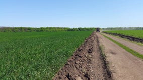 трактор едет на дороге среди полей зеленой пшеницы Стоковые Изображения трактор едет на дороге среди полей зеленой пшеницы Стоковые Изображения
