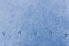 Трассировки птицы на свежем снеге стоковые фотографии rf Трассировки птицы на свежем снеге стоковые фотографии rf