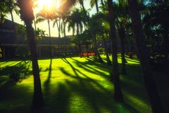 Тропический сад на карибском курортном отеле в Punta Cana, Domin стоковое фото Тропический сад на карибском курортном отеле в Punta Cana, Domin стоковое фото