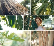 Троповый коллаж заводов сада с красной девушкой волос стоковая фотография rf Троповый коллаж заводов сада с красной девушкой волос стоковая фотография rf