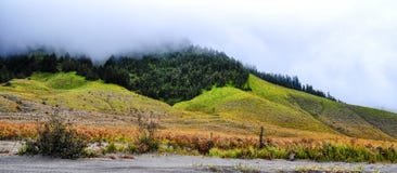 туманная гора стоковые фото туманная гора стоковые фото