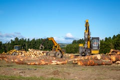 Тяжелая желтая работа машинного оборудования на внося в журнал месте штабелируя журналы стоковое изображение rf Тяжелая желтая работа машинного оборудования на внося в журнал месте штабелируя журналы стоковое изображение rf