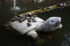 удачливейшая черепаха стоковое фото rf удачливейшая черепаха стоковое фото rf