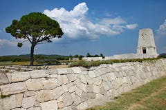 Уединенное кладбище сосны в Турции, чествуя войска Anzac th которые умерли на сражении Gallipoli стоковые фотографии rf Уединенное кладбище сосны в Турции, чествуя войска Anzac th которые умерли на сражении Gallipoli стоковые фотографии rf