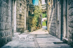Узкая улица в историческом Trogir, Хорватии, сетноом-аналогов фильтре Стоковые Фото Узкая улица в историческом Trogir, Хорватии, сетноом-аналогов фильтре Стоковые Фото