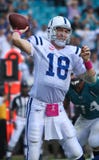 укомплектовывать личным составом peyton пропуска укомплектовывать личным составом peyton пропуска