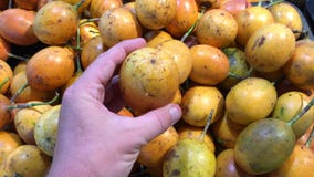 Укомплектуйте личным составом руку выбирая свежую органическую экзотическую маракуйю в супермаркете Южная Азия, Индонезия, Бали акции видеоматериалы Укомплектуйте личным составом руку выбирая свежую органическую экзотическую маракуйю в супермаркете Южная Азия, Индонезия, Бали акции видеоматериалы