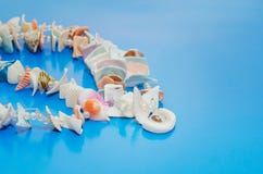 Украшение от пестротканых seashells на голубой предпосылке, экземпляр-космосе для текста стоковое изображение Украшение от пестротканых seashells на голубой предпосылке, экземпляр-космосе для текста стоковое изображение
