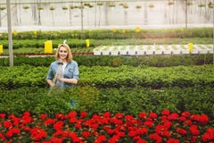 Усмехаясь красивое положение молодой женщины в orangery и моча заводах стоковые изображения rf Усмехаясь красивое положение молодой женщины в orangery и моча заводах стоковые изображения rf