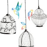 Установленные покрашенные вручную birdcages, птицы, листья, радуга акварели бесплатная иллюстрация Установленные покрашенные вручную birdcages, птицы, листья, радуга акварели бесплатная иллюстрация