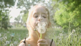 Утеха весны - одуванчик прекрасной девушки дуя Красивая милая девушка в солнечном дне на зеленой предпосылке природы видеоматериал Утеха весны - одуванчик прекрасной девушки дуя Красивая милая девушка в солнечном дне на зеленой предпосылке природы видеоматериал