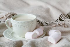 Утешьте чай с теплыми шотландкой и помадками шерстей Стоковое фото RF Утешьте чай с теплыми шотландкой и помадками шерстей Стоковое фото RF