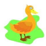 Утка мультфильма сети милая Иллюстрация вектора смешного счастливого животного бесплатная иллюстрация Утка мультфильма сети милая Иллюстрация вектора смешного счастливого животного бесплатная иллюстрация