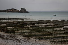 Ферма моря для продукции устриц на береге моря Kelst в Нормандии стоковая фотография rf Ферма моря для продукции устриц на береге моря Kelst в Нормандии стоковая фотография rf
