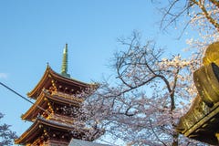 Фестиваль вишневого цвета Ueno Сакуры Matsuri на Ueno ParkUeno Koen, Taito, токио, Японии на 7,2017 -го апреля: пагода 5-рассказа стоковые фотографии rf Фестиваль вишневого цвета Ueno Сакуры Matsuri на Ueno ParkUeno Koen, Taito, токио, Японии на 7,2017 -го апреля: пагода 5-рассказа стоковые фотографии rf