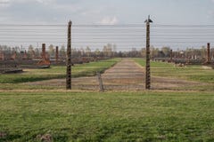 Фото показывает колючую проволоку на концентрационном лагере Освенцима Birkenau, нацистском концлагере датируя назад к WW2 стоковое изображение Фото показывает колючую проволоку на концентрационном лагере Освенцима Birkenau, нацистском концлагере датируя назад к WW2 стоковое изображение