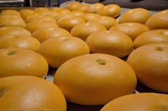 Хлеб bakersfield Завод хлебопекарни Продукция хлеба Свежий белый хлеб от печи стоковые фотографии rf Хлеб bakersfield Завод хлебопекарни Продукция хлеба Свежий белый хлеб от печи стоковые фотографии rf