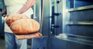 Хлебопек в хлебопекарне с хлебом на лопаткоулавливателе стоковые изображения rf Хлебопек в хлебопекарне с хлебом на лопаткоулавливателе стоковые изображения rf
