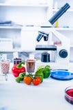 Химическая лаборатория продовольственных ресурсов Еда в лаборатории, дна дорабатывает GMO Genetically доработал еду в лаборатории стоковые фотографии rf Химическая лаборатория продовольственных ресурсов Еда в лаборатории, дна дорабатывает GMO Genetically доработал еду в лаборатории стоковые фотографии rf