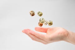 Ходы женщины dices изолированный на белом стоковое фото Ходы женщины dices изолированный на белом стоковое фото