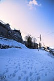 Холмы Murre шоу стоковая фотография Холмы Murre шоу стоковая фотография
