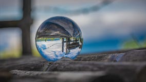 Хрустальный шар с зеленым деревом стоковые изображения Хрустальный шар с зеленым деревом стоковые изображения
