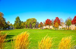 Цвета падения Boise стоковые изображения rf Цвета падения Boise стоковые изображения rf