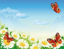 цветки бабочки цветки бабочки