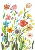 Цветки и пер флористического букета бургундской красной мадженты Boho акварели белые розовые изолировали иллюстрация штока Цветки и пер флористического букета бургундской красной мадженты Boho акварели белые розовые изолировали иллюстрация штока