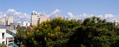 Цветки питы Ibira в воздушном панорамном виде неба города Буэноса-Айрес стоковое изображение Цветки питы Ibira в воздушном панорамном виде неба города Буэноса-Айрес стоковое изображение