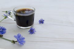 Чашка цикория Поддерживать напиток утра стоковые изображения Чашка цикория Поддерживать напиток утра стоковые изображения