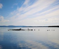 Человеческая рыбная ловля в белом море стоковые фото Человеческая рыбная ловля в белом море стоковые фото