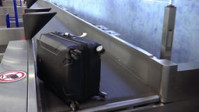 Чемоданы двигают на конвейерную ленту на аэропорте, личных вещах и контроле Чемоданы двигают на конвейерную ленту на аэропорте, личных вещах и контроле