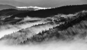 Черно-белое изображение ландшафта холмов стоковая фотография Черно-белое изображение ландшафта холмов стоковая фотография