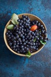 Шар с свеже выбранными доморощенными ягодами aronia стоковые фото Шар с свеже выбранными доморощенными ягодами aronia стоковые фото