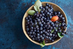 Шар с свеже выбранными доморощенными ягодами aronia стоковые изображения rf Шар с свеже выбранными доморощенными ягодами aronia стоковые изображения rf