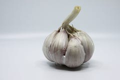 Шарик чеснока стоковое фото Шарик чеснока стоковое фото
