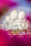 Шейх Zayed Грандиозн Мечеть с цветками в Абу-Даби, Объединенных эмиратах Стоковая Фотография RF Шейх Zayed Грандиозн Мечеть с цветками в Абу-Даби, Объединенных эмиратах Стоковая Фотография RF
