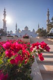 Шейх Zayed Грандиозн Мечеть с цветками в Абу-Даби, Объединенных эмиратах Стоковые Фотографии RF Шейх Zayed Грандиозн Мечеть с цветками в Абу-Даби, Объединенных эмиратах Стоковые Фотографии RF