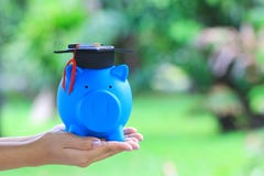 Шляпа градации удерживания руки женщины на сини piggy с естественной зеленой предпосылкой, сохраняя деньгами для концепции образо стоковые фото Шляпа градации удерживания руки женщины на сини piggy с естественной зеленой предпосылкой, сохраняя деньгами для концепции образо стоковые фото