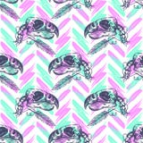 Этническая картина Boho безшовная, нарисованные вручную птицы черепа чернил, предпосылка зигзага бесплатная иллюстрация Этническая картина Boho безшовная, нарисованные вручную птицы черепа чернил, предпосылка зигзага бесплатная иллюстрация