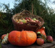 Яблоки в плетеной корзине на соломе, тыквы украшения осени, красных и зеленых, сквош зимы стоковые изображения rf Яблоки в плетеной корзине на соломе, тыквы украшения осени, красных и зеленых, сквош зимы стоковые изображения rf