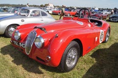 Ягуар XK140 стоковая фотография rf Ягуар XK140 стоковая фотография rf