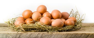 Яичка цыпленка в гнезде сена. Изолированный. Натуральные продукты стоковые изображения Яичка цыпленка в гнезде сена. Изолированный. Натуральные продукты стоковые изображения