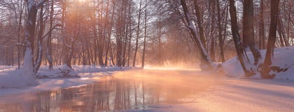 Яркий солнечный свет освещает белый снег и морозит через туман стоковые изображения rf Яркий солнечный свет освещает белый снег и морозит через туман стоковые изображения rf